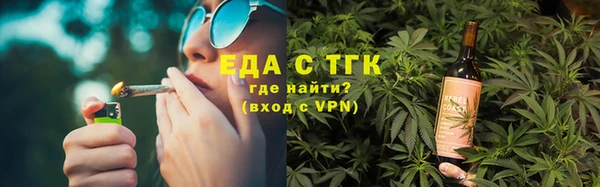 индика Сатка