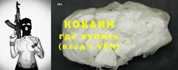 индика Абаза