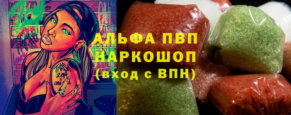 индика Абаза
